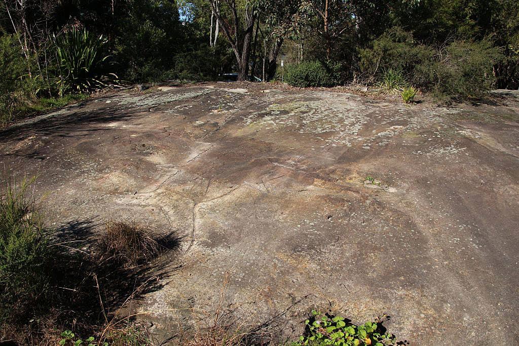 Cammeraygal-rock-carving